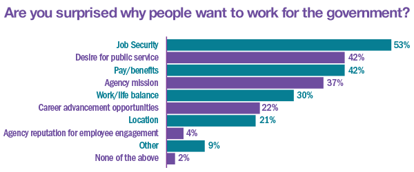 graph showing 53% choose job security as the most influential factor in the decision to work for the federal government.